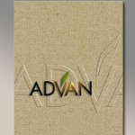 corporate folder design