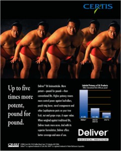 Deliver ad campaign